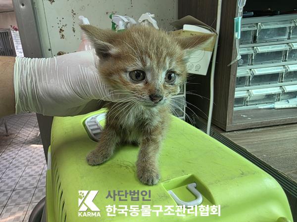 종료(자연사) 한국…